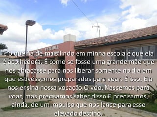 E o que há de mais lindo em minha escola é que ela é acolhedora. É como se fosse uma grande mãe que nos abraçasse para nos liberar somente no dia em que estivéssemos preparados para voar. É isso. Ela nos ensina nossa vocação.O vôo. Nascemos para voar, mas precisamos saber disso.E precisamos, ainda, de um impulso que nos lance para esse elevado destino. 