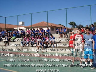 Minha escola é acolhedora. Nela vou permitindo  que a semente se transforme em planta, em flor. Ou permitindo que a lagarta venha a se tornar borboleta. E sei que para isso não preciso de pressa. Se quiserem ajudar a lagarta a sair do casulo, talvez ela nunca tenha a chance de voar. Pode ser que ela ainda não esteja pronta. 