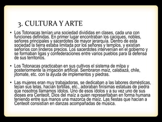 3. CULTURA Y ARTE
• Los Totonacas tenían una sociedad divididas en clases, cada una con
funciones definidas. En primer lugar encontraban los caciques, nobles,
señores principales y sacerdotes de mayor jerarquía. Dentro de esta
sociedad la tierra estaba limitada por los señores y templos, y existían
señoríos con linderos precios. Los sacerdotes intervenían en el gobierno y
se formaban ligas y confederaciones entre varios pueblos para la defensa
de sus territorios.
• Los Totonacas practicaban en sus cultivos el sistema de milpa y
posteriormente la irrigación artificial. Sembraron maíz, calabaza, chile,
jitomate, etc. con la ayuda de implementos y piedras.
• Las mujeres eran muy trabajadoras, se dedicaban a las labores domésticas,
tejían sus telas, hacían tortillas, etc., adoraban finísimas estatuas de piedra
que nosotros llamamos ídolos. Uno de esos ídolos y a su vez uno de sus
dioses era Centeolt, Dios del maíz a quien representaban en forma humana
teniendo entre sus manos una mazorca de maíz. Las fiestas que hacían a
Centeolt consistían en danzas acompañadas de música.
 