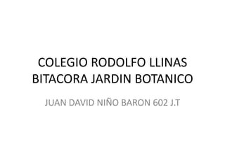 COLEGIO RODOLFO LLINAS
BITACORA JARDIN BOTANICO
JUAN DAVID NIÑO BARON 602 J.T
 