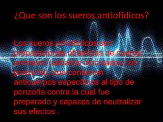 ¿Que son los sueros antiofídicos?

Los sueros antiofídicos son
preparaciones obtenidas de sueros
animales (caballos inoculados con
ponzoña), que contienen
anticuerpos específicos al tipo de
ponzoña contra la cual fue
preparado y capaces de neutralizar
sus efectos .nocivos
 