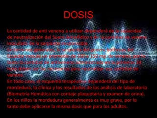 DOSIS
La cantidad de anti veneno a utilizar dependerá de la capacidad
de neutralización del Suero Antiofídico y de la cantidad de veneno
inoculado de la serpiente responsable.
En terminos generales, la serpiente del genero bothrops del
Ecuador inocula un promedio de 100 a 150 mg. de veneno, por lo
tanto la cantidad de antiveneno administrada en la primeras 24
hora deben ser las necesarias para neutralizar esa cantidad de
veneno.
En todo caso, el esquema terapéutico dependerá del tipo de
mordedura, la clínica y los resultados de los análisis de laboratorio
(Biometría Hemática con contaje plaquetaria y examen de orina).
En los niños la mordedura generalmente es muy grave, por lo
tanto debe aplicarse la misma dosis que para los adultos.
 