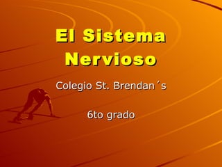 El Sistema Nervioso Colegio St. Brendan´s 6to grado 