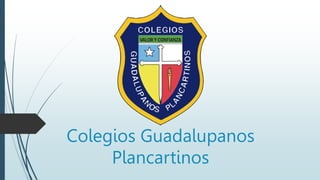 Colegios Guadalupanos
Plancartinos
 