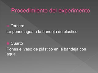  Tercero
Le pones agua a la bandeja de plástico
 Cuarto
Pones el vaso de plástico en la bandeja con
agua
 