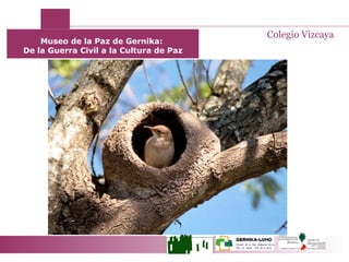Museo de la Paz de Gernika:  De la Guerra Civil a la Cultura de Paz Colegio Vizcaya 