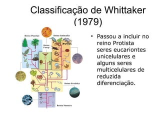 Classificação de Whittaker
          (1979)
             • Passou a incluir no
               reino Protista
               seres eucariontes
               unicelulares e
               alguns seres
               multicelulares de
               reduzida
               diferenciação.
 