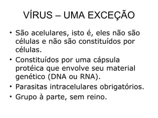 VÍRUS – UMA EXCEÇÃO
• São acelulares, isto é, eles não são
  células e não são constituídos por
  células.
• Constituídos por uma cápsula
  protéica que envolve seu material
  genético (DNA ou RNA).
• Parasitas intracelulares obrigatórios.
• Grupo à parte, sem reino.
 