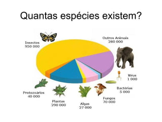 Quantas espécies existem?
 