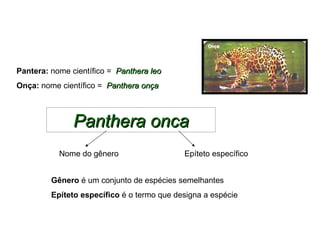 Pantera: nome científico = Panthera leo
Onça: nome científico = Panthera onça



               Panthera onca
           Nome do gênero                   Epíteto específico


         Gênero é um conjunto de espécies semelhantes
         Epíteto específico é o termo que designa a espécie
 