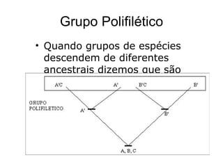 Grupo Polifilético
• Quando grupos de espécies
  descendem de diferentes
  ancestrais dizemos que são
  polifiléticos.
 