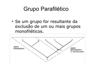 Grupo Parafilético

• Se um grupo for resultante da
  exclusão de um ou mais grupos
  monofiléticos.
 