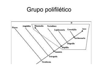 Grupo polifilético
 
