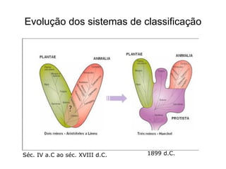 Evolução dos sistemas de classificação




Séc. IV a.C ao séc. XVIII d.C.   1899 d.C.
 