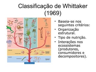 Classificação de Whittaker
          (1969)
             • Baseia-se nos
               seguintes critérios:
             • Organização
               estrutural.
             • Tipo de nutrição.
             • Interações nos
               ecossistemas
               (produtores,
               consumidores e
               decompositores).
 
