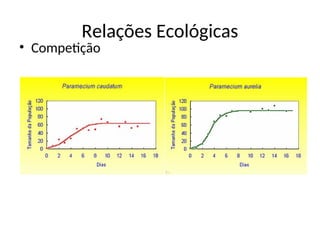 Relações Ecológicas
• Competição
 