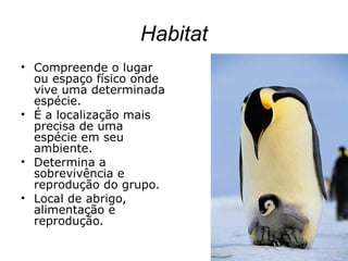 Habitat
• Compreende o lugar
ou espaço físico onde
vive uma determinada
espécie.
• É a localização mais
precisa de uma
espécie em seu
ambiente.
• Determina a
sobrevivência e
reprodução do grupo.
• Local de abrigo,
alimentação e
reprodução.
 