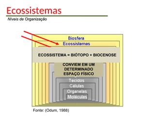 Ecossistemas
Níveis de Organização
Níveis de Organização
Fonte: (Odum, 1988)
CONJUNTO DE
POPULAÇÕES QUE
CONVIEM EM UM
DETERMINADO
ESPAÇO FÍSICO
ECOSSISTEMA = BIÓTOPO + BIOCENOSE
 
