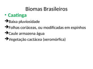 Biomas Brasileiros
• Caatinga
Baixa pluviosidade
Folhas coriáceas, ou modificadas em espinhos
Caule armazena água
Vegetação cactácea (xeromórfica)
 