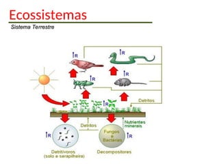 Ecossistemas
Sistema Terrestre
Sistema Terrestre
 