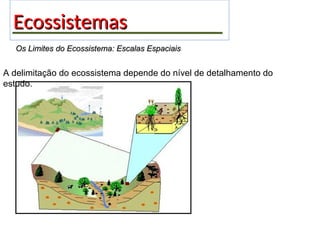 Ecossistemas
Ecossistemas
Os Limites do Ecossistema: Escalas Espaciais
Os Limites do Ecossistema: Escalas Espaciais
A delimitação do ecossistema depende do nível de detalhamento do
estudo.
 