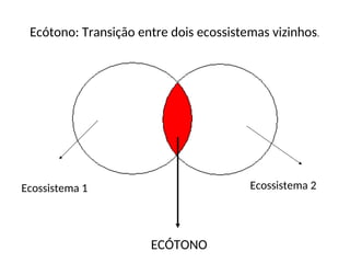 Ecótono: Transição entre dois ecossistemas vizinhos.
ECÓTONO
Ecossistema 1 Ecossistema 2
 