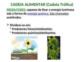 CADEIA ALIMENTAR (Cadeia Trófica)
PRODUTORES: capazes de fixar a energia luminosa
sob a forma de energia química. São chamados
autótrofos.
 Dividem-se em:
* Produtores fotossintetizantes;
* Produtores químiossintetizantes.
 
