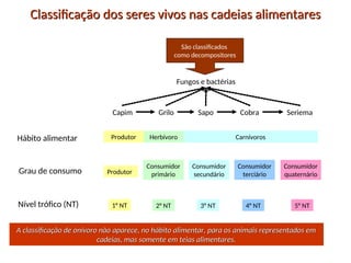 Classificação dos seres vivos nas cadeias alimentares
Classificação dos seres vivos nas cadeias alimentares
Capim Grilo Sapo Cobra Seriema
Fungos e bactérias
Hábito alimentar
Grau de consumo
Nível trófico (NT)
Produtor
Produtor
Herbívoro Carnívoros
Consumidor
primário
Consumidor
secundário
Consumidor
terciário
Consumidor
quaternário
1° NT 2° NT 3° NT 4° NT 5° NT
São classificados
como decompositores
A classificação de onívoro não aparece, no hábito alimentar, para os animais representados em
A classificação de onívoro não aparece, no hábito alimentar, para os animais representados em
cadeias, mas somente em teias alimentares.
cadeias, mas somente em teias alimentares.
 