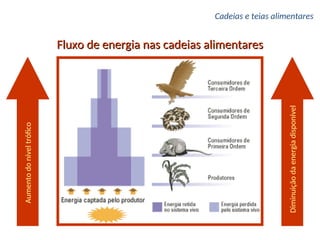 Fluxo de energia nas cadeias alimentares
Fluxo de energia nas cadeias alimentares
Aumento
do
nível
trófico
Diminuição
da
energia
disponível
Cadeias e teias alimentares
 