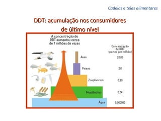 DDT: acumulação nos consumidores
DDT: acumulação nos consumidores
de último nível
de último nível
Cadeias e teias alimentares
 
