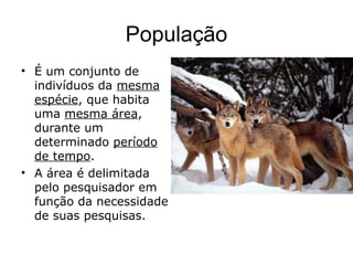 População
• É um conjunto de
indivíduos da mesma
espécie, que habita
uma mesma área,
durante um
determinado período
de tempo.
• A área é delimitada
pelo pesquisador em
função da necessidade
de suas pesquisas.
 