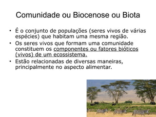 Comunidade ou Biocenose ou Biota
• É o conjunto de populações (seres vivos de várias
espécies) que habitam uma mesma região.
• Os seres vivos que formam uma comunidade
constituem os componentes ou fatores bióticos
(vivos) de um ecossistema.
• Estão relacionadas de diversas maneiras,
principalmente no aspecto alimentar.
 