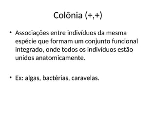 Colônia (+,+)
• Associações entre indivíduos da mesma
espécie que formam um conjunto funcional
integrado, onde todos os indivíduos estão
unidos anatomicamente.
• Ex: algas, bactérias, caravelas.
 