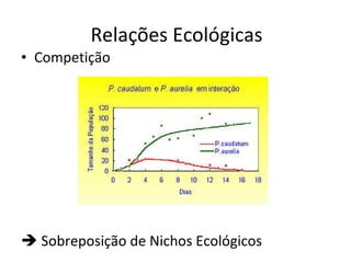 Competição    Sobreposição de Nichos Ecológicos Relações Ecológicas 