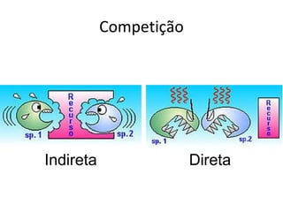 Competição Indireta  Direta 