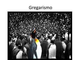 Gregarismo 