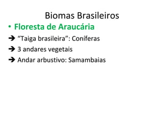 Biomas Brasileiros Floresta de Araucária   “ Taiga brasileira”: Coníferas    3 andares vegetais  Andar arbustivo: Samambaias 