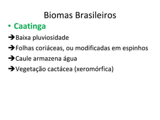 Biomas Brasileiros Caatinga Baixa pluviosidade Folhas coriáceas, ou modificadas em espinhos Caule armazena água  Vegetação cactácea (xeromórfica) 