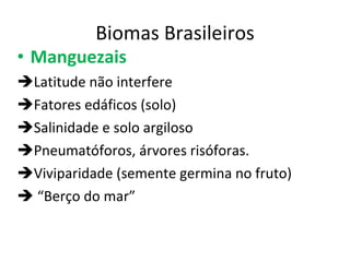 Biomas Brasileiros Manguezais Latitude não interfere Fatores edáficos (solo) Salinidade e solo argiloso Pneumatóforos, árvores risóforas. Viviparidade (semente germina no fruto) “ Berço do mar” 