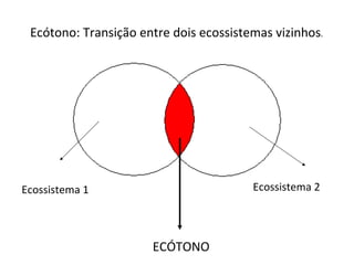 Ecótono: Transição entre dois ecossistemas vizinhos . ECÓTONO Ecossistema 1 Ecossistema 2 