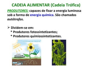 CADEIA ALIMENTAR (Cadeia Trófica) PRODUTORES:  capazes de fixar a energia luminosa sob a forma de  energia química . São chamados  autótrofos. Dividem-se em: * Produtores fotossintetizantes; * Produtores químiossintetizantes. 