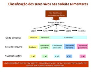 Classificação dos seres vivos nas cadeias alimentares Capim Grilo Sapo Cobra Seriema Fungos e bactérias Hábito alimentar Grau de consumo Nível trófico (NT) Produtor Produtor Herbívoro Carnívoros Consumidor primário Consumidor secundário Consumidor terciário Consumidor quaternário 1° NT 2° NT 3° NT 4° NT 5° NT São classificados  como decompositores A classificação de onívoro não aparece, no hábito alimentar, para os animais representados em cadeias, mas somente em teias alimentares. 