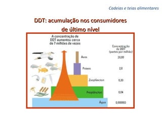 DDT: acumulação nos consumidores  de último nível   Cadeias e teias alimentares   