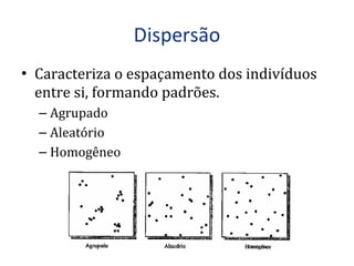 Caracteriza o espaçamento dos indivíduos entre si, formando padrões. Agrupado Aleatório Homogêneo 
