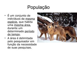 População É um conjunto de indivíduos da  mesma espécie , que habita uma  mesma área , durante um determinado  período de tempo . A área é delimitada pelo pesquisador em função da necessidade de suas pesquisas. 