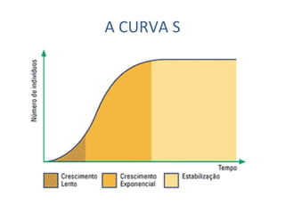 A CURVA S 