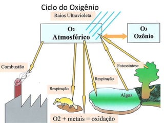 Ciclo do Oxigênio 