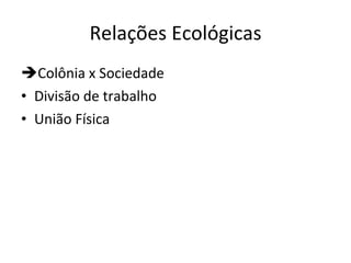 Relações Ecológicas  Colônia x Sociedade Divisão de trabalho União Física 