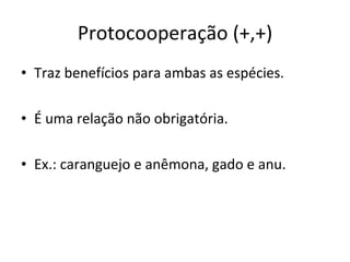 Protocooperação (+,+) Traz benefícios para ambas as espécies. É uma relação não obrigatória. Ex.: caranguejo e anêmona, gado e anu. 