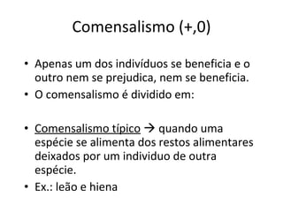 Comensalismo (+,0) Apenas um dos indivíduos se beneficia e o outro nem se prejudica, nem se beneficia. O comensalismo é dividido em: Comensalismo típico     quando uma espécie se alimenta dos restos alimentares deixados por um individuo de outra espécie. Ex.: leão e hiena 